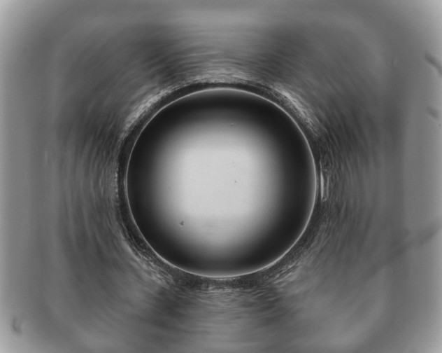 X0000091170531200708161500