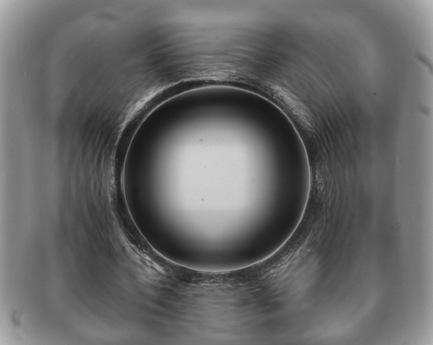 X0000091170532200708161500