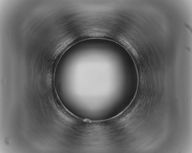 X0000091170533200708161500