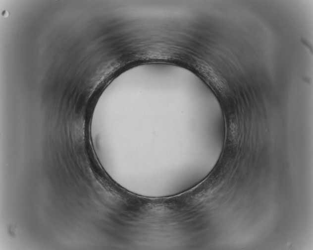 X0000091170534200708161500