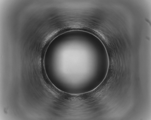 X0000091170535200708161500