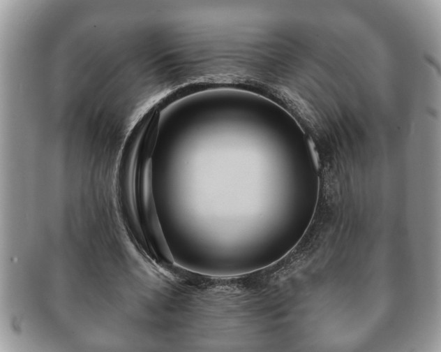 X0000091170536200708161500