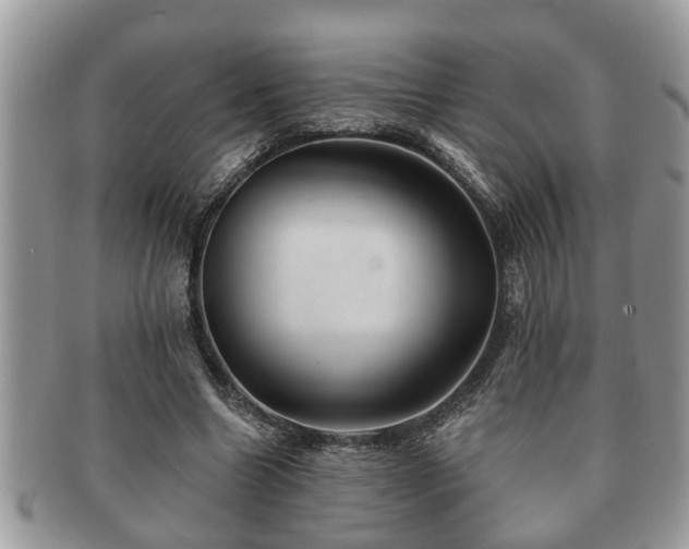 X0000091170538200708161500