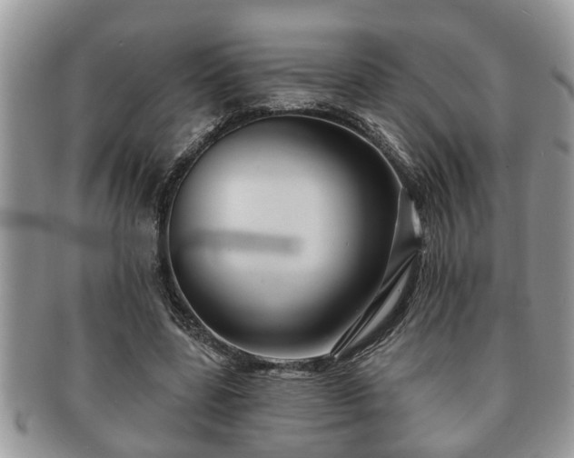 X0000091170539200708161500