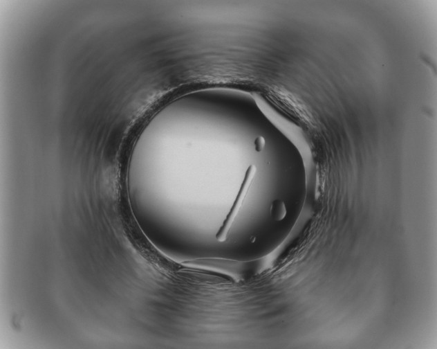 X0000091170540200708161500