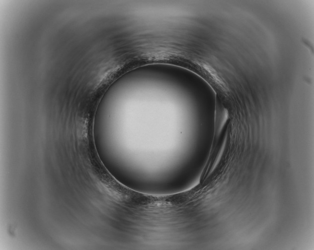 X0000091170543200708161500