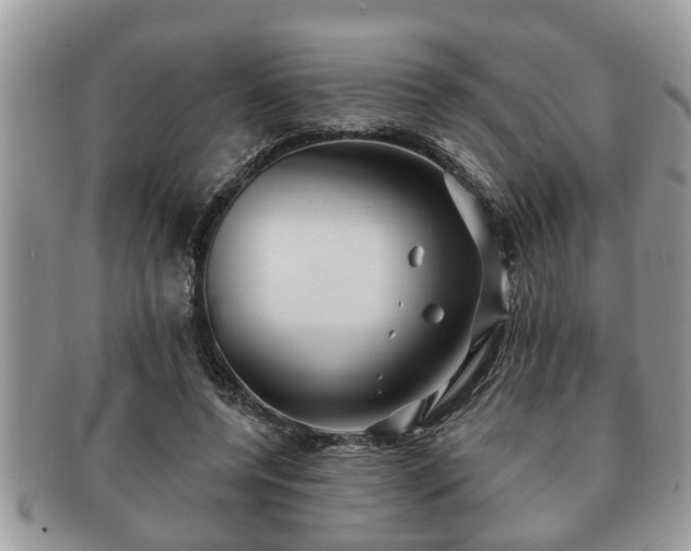 X0000091170544200708161500