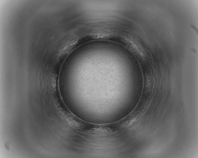 X0000091170545200708161500