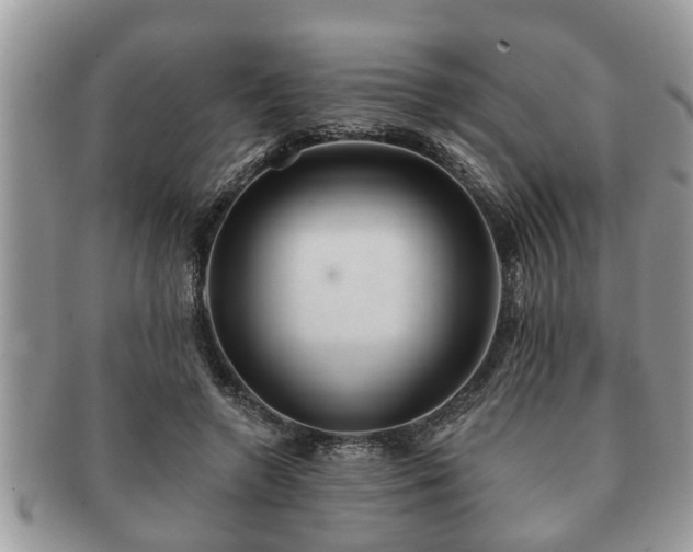 X0000091170546200708161500