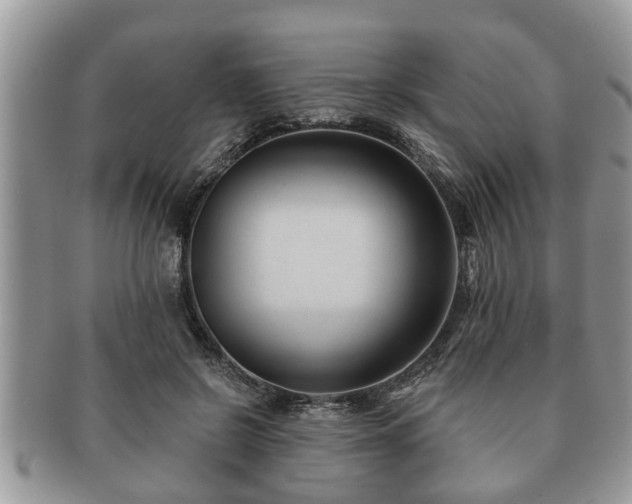 X0000091170550200708161501