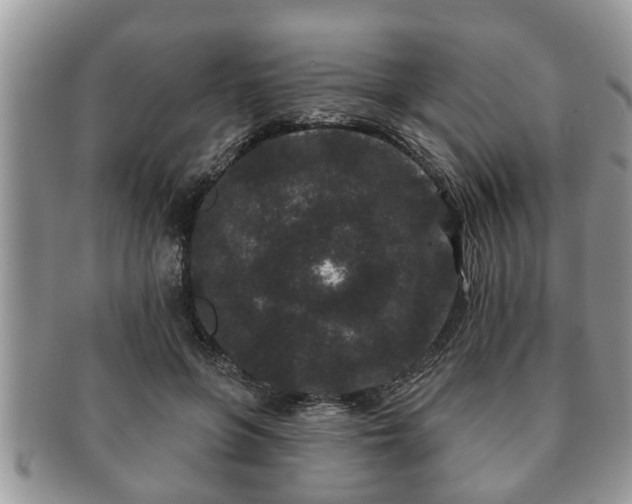 X0000091170551200708161501