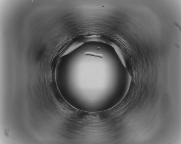 X0000091170552200708161501