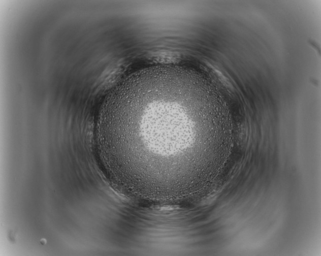 X0000091170553200708161501