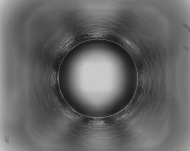 X0000091170554200708161501