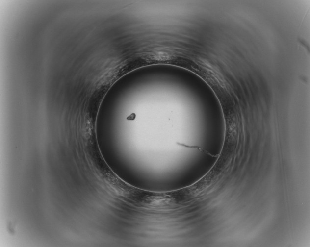 X0000091170555200708161501