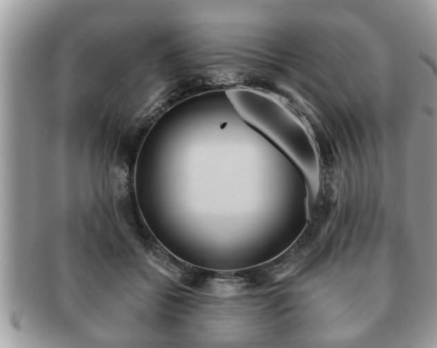 X0000091170556200708161501