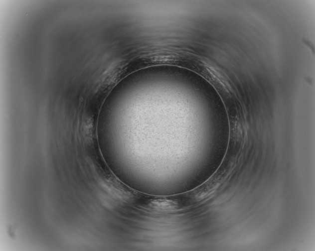 X0000091170557200708161501