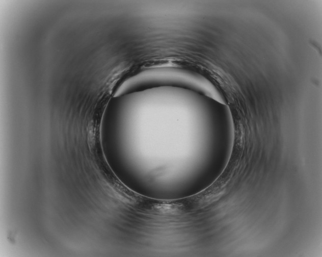 X0000091170558200708161501