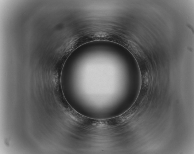 X0000091170559200708161501