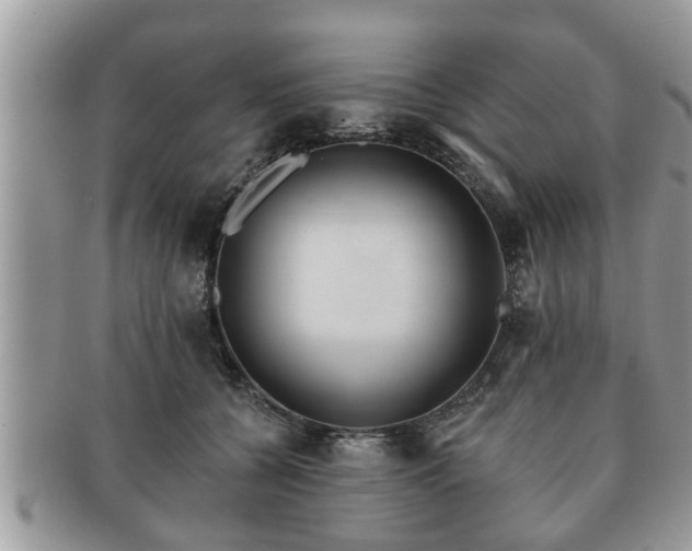 X0000091170560200708161501