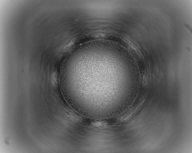 X0000091170561200708161501