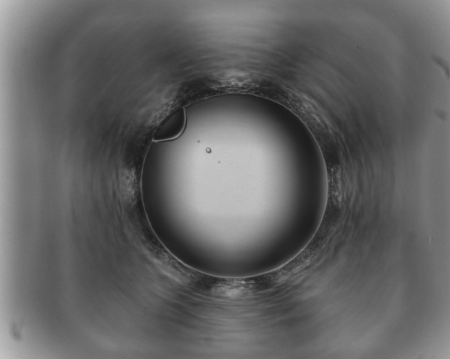 X0000091170563200708161501