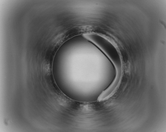 X0000091170564200708161501