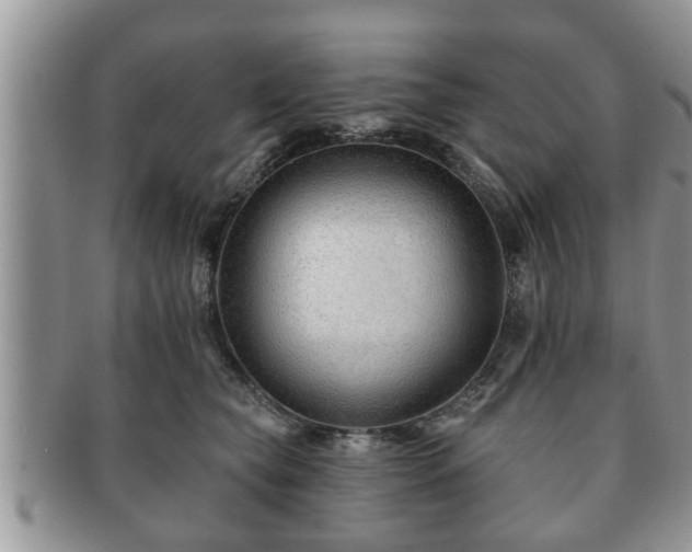 X0000091170565200708161501