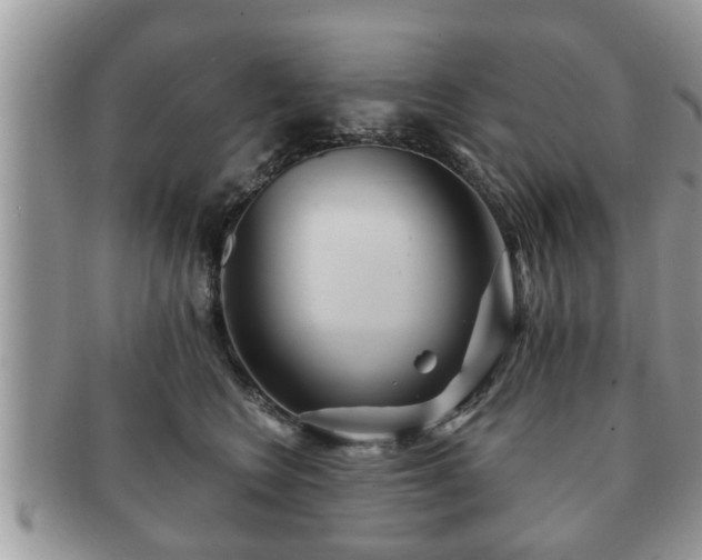 X0000091170566200708161501