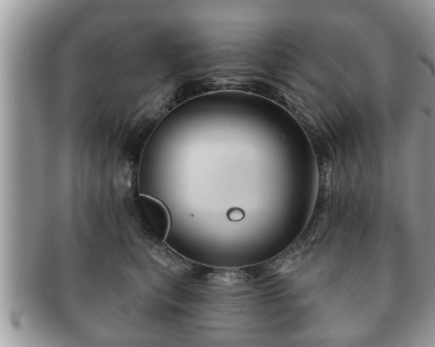 X0000091170567200708161501