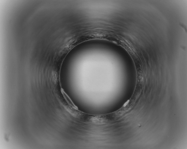 X0000091170568200708161501