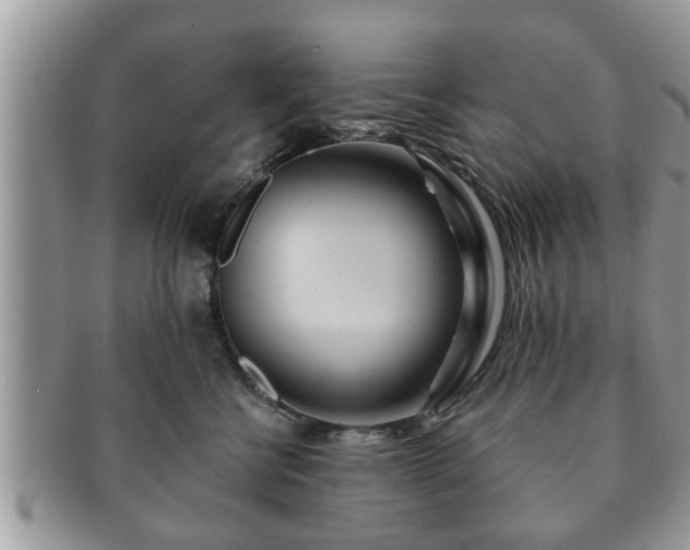 X0000091170570200708161501