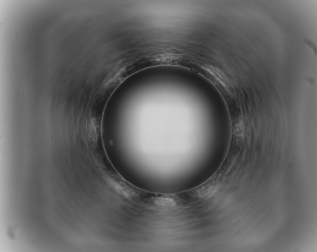 X0000091170572200708161501