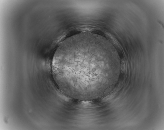 X0000091170573200708161501