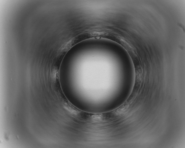 X0000091170574200708161501