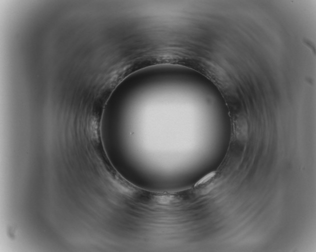 X0000091170575200708161501