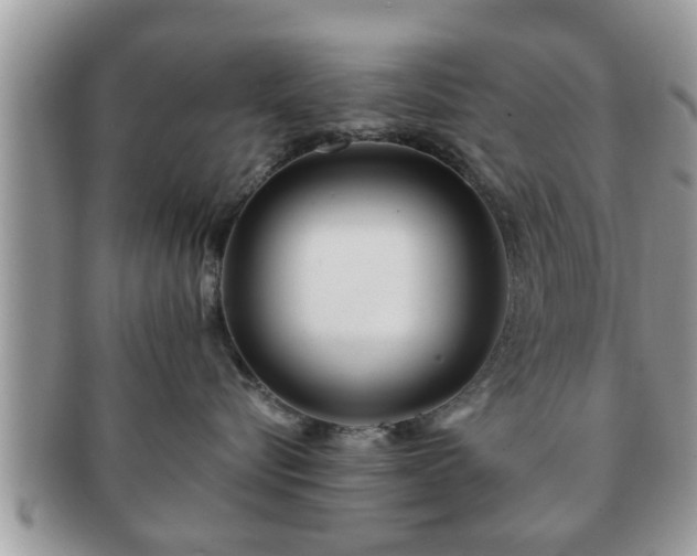 X0000091170576200708161501