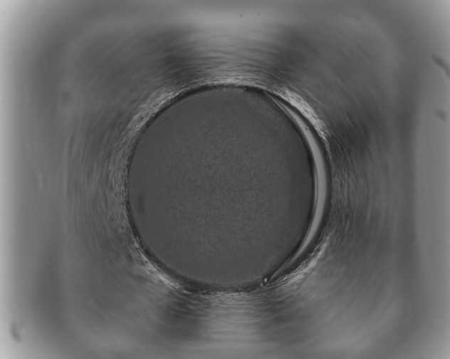 X0000091170577200708161500