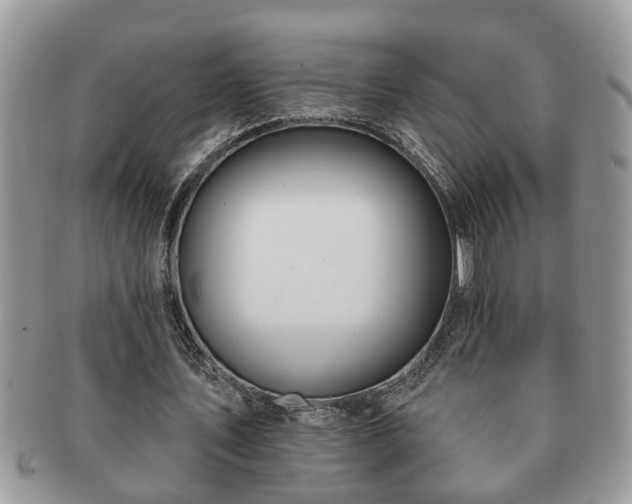 X0000091170579200708161500