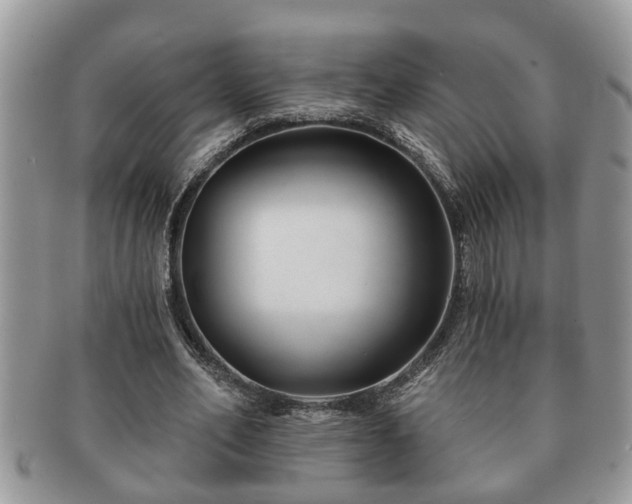 X0000091170582200708161500