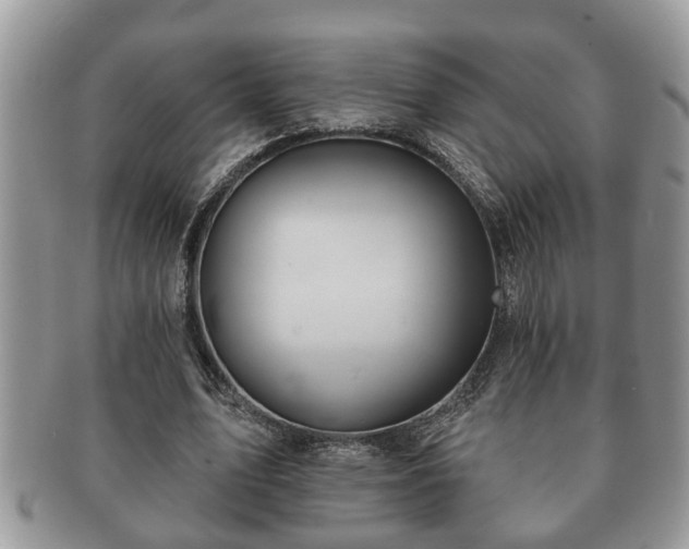 X0000091170583200708161500