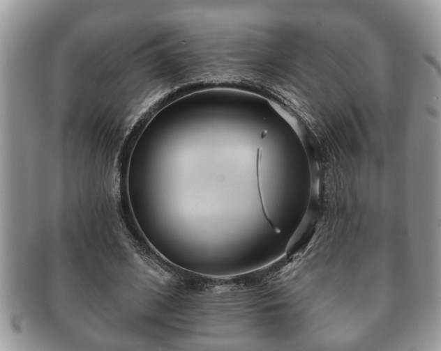 X0000091170584200708161500