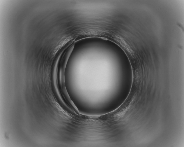 X0000091170585200708161500