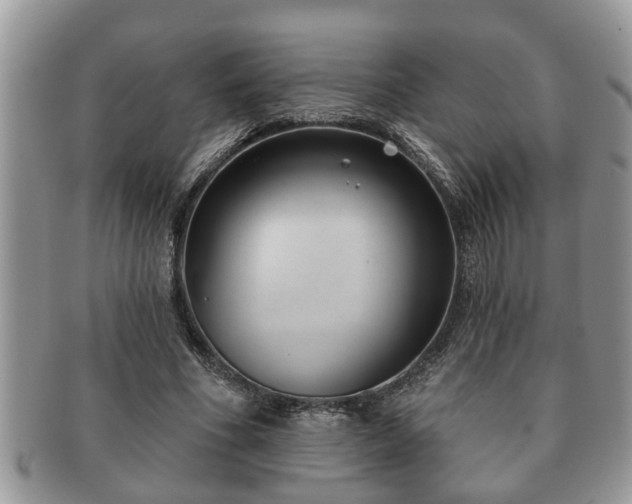 X0000091170586200708161500