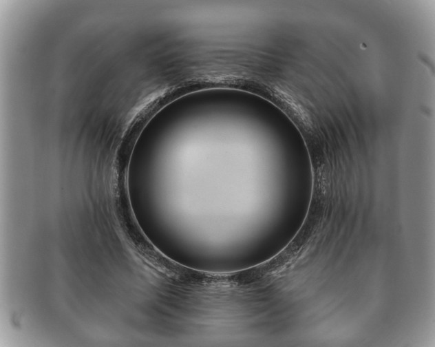 X0000091170587200708161500