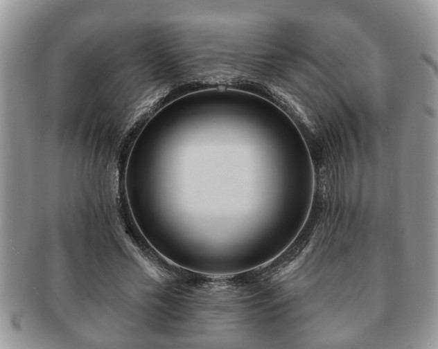 X0000091170589200708161500