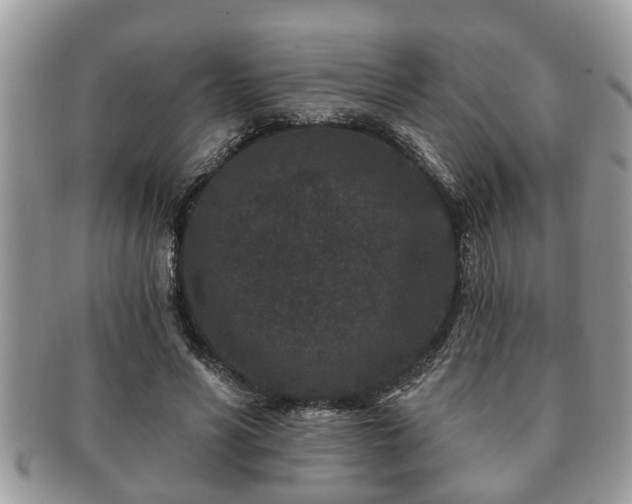 X0000091170590200708161500