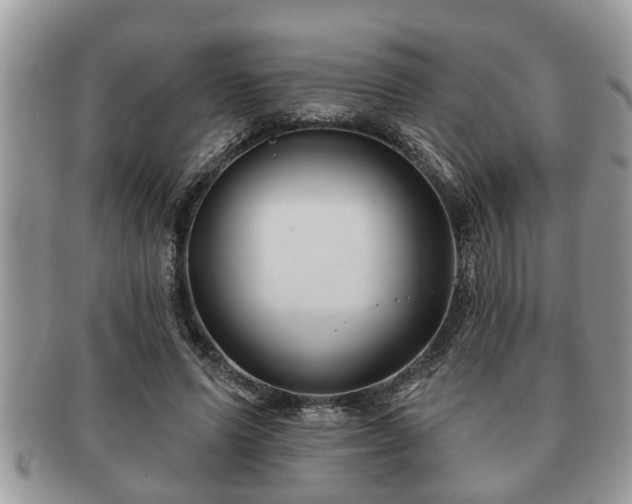 X0000091170591200708161500