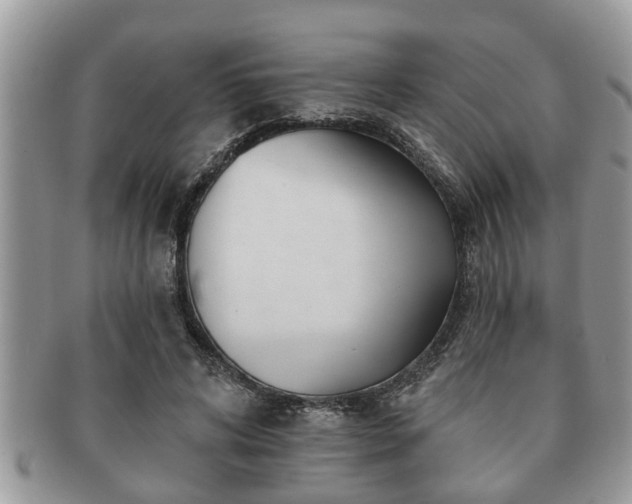 X0000091170592200708161500