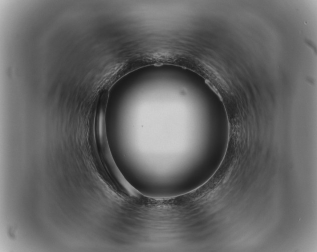 X0000091170593200708161500